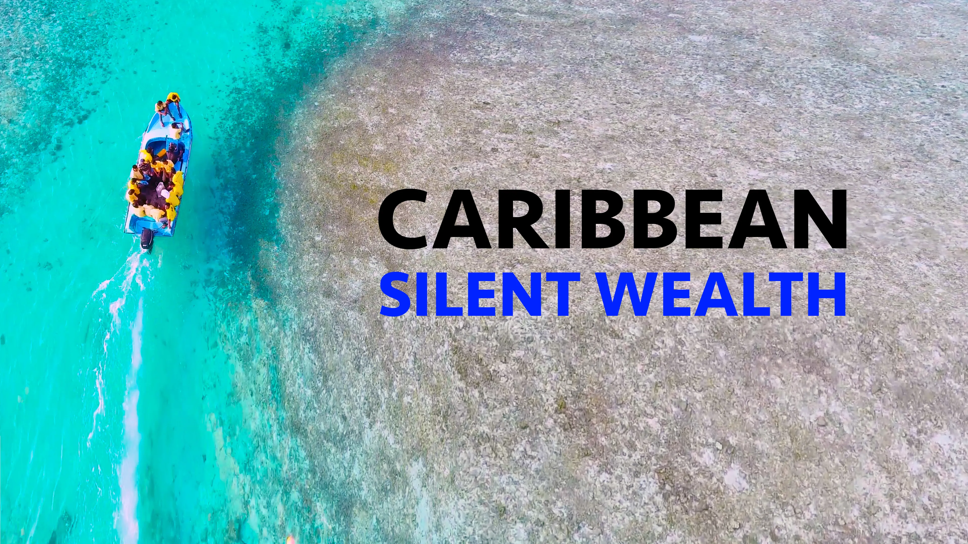 Caribbean: Silent Wealth poster